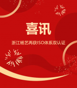 喜讯 | 浙江亿万先生再获ISO体系双认证