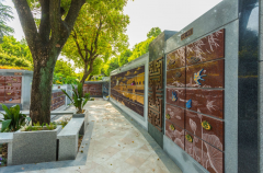 绿色殡葬新风尚：探索葬式多样化的创新之路