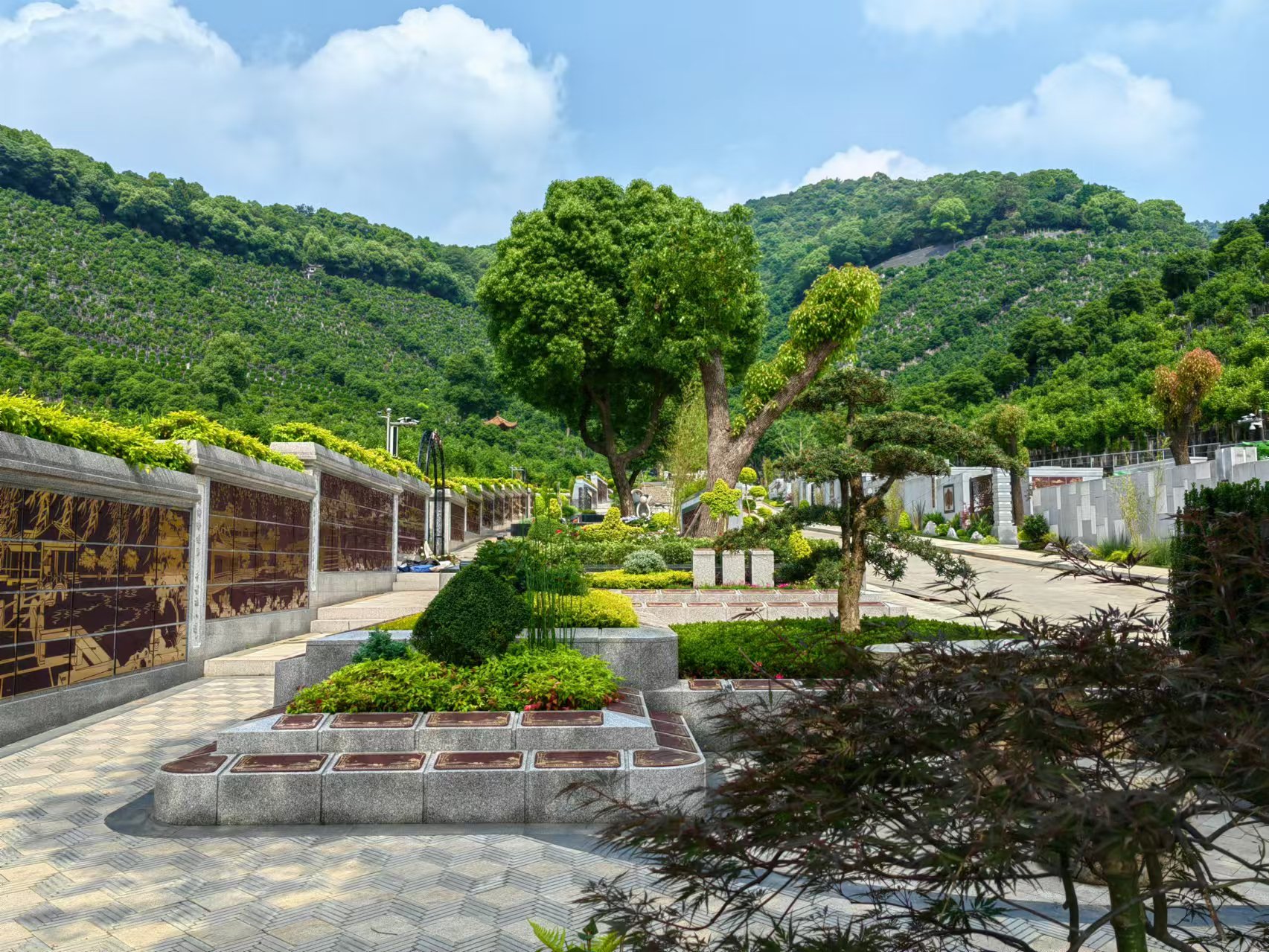 引领绿色生态新风尚，共筑生命和谐家园