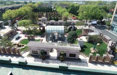 方寸之间，艺术与自然共舞