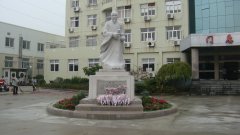 石雕匠心，镌刻医者风华