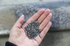 石语新章：仿真保护箱中的生态启示录