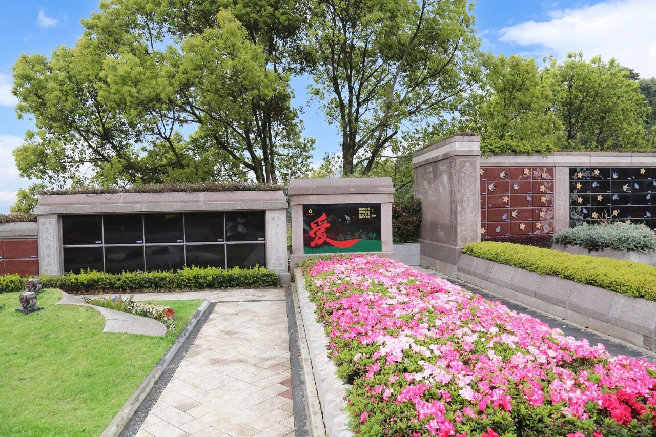 当纪念，开始生长